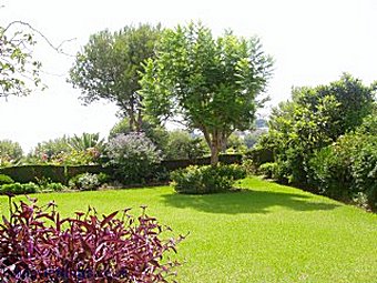 Gardens at Miraflores Jardin
