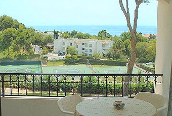 Views from the terrace