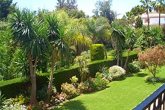 tropical gardens