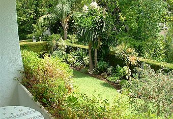 tropical gardens